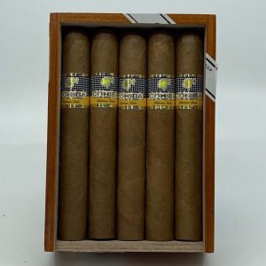 Cohiba Siglo VI Cigar