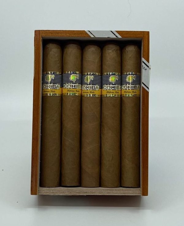 Cohiba Siglo VI Cigar