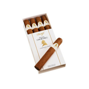 Davidoff Winston Churchill Robusto (4)