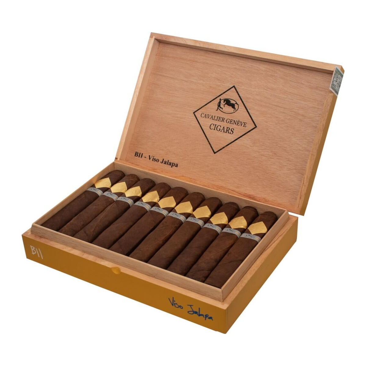 BlI Viso Jalapa Core Line Robusto VJ (20)