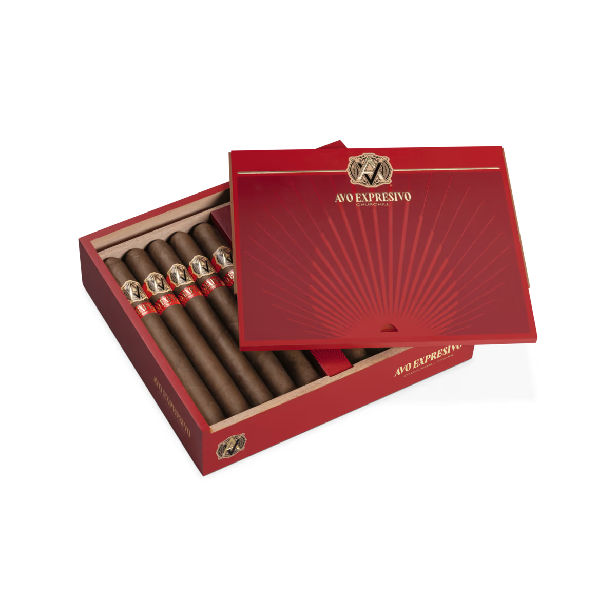 Avo Expresivo Churchill (20)